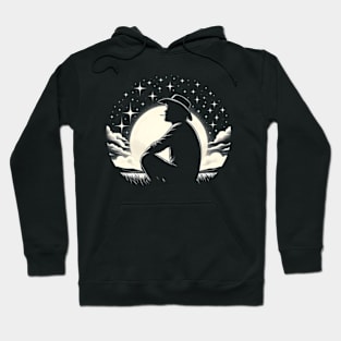 Toby Keith against the starry night sky Hoodie